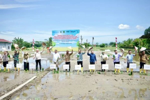 Pemkab Langkat Dorong Sinergi untuk Ketahanan Pangan di Desa Sidomulyo - Digital Media Public